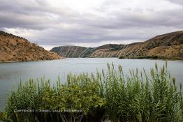 Image du Maroc Professionnelle de  Le Barrage Allal Al Fassi est situé dans la Province de Sefrou sur Oued Sebou avec un volume de stockage de 63.7 Mm3, il contrôle un bassin versant de 5.400 km2. Ce Barrage a été mis en service en 1990. But de l'ouvrage  production d'électricité, irrigation et protection contre les crues, Jeudi 8 septembre 2005. (Photo / Abdeljalil Bounhar) 